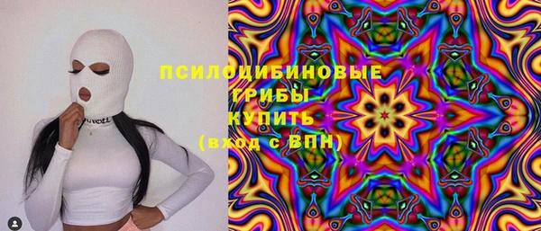 дживик Елизово
