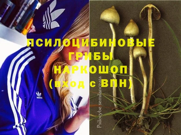 дживик Елизово