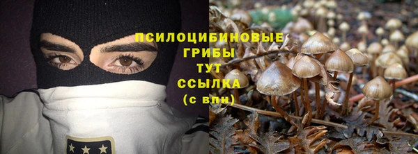 дживик Елизово