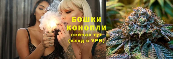 дживик Елизово
