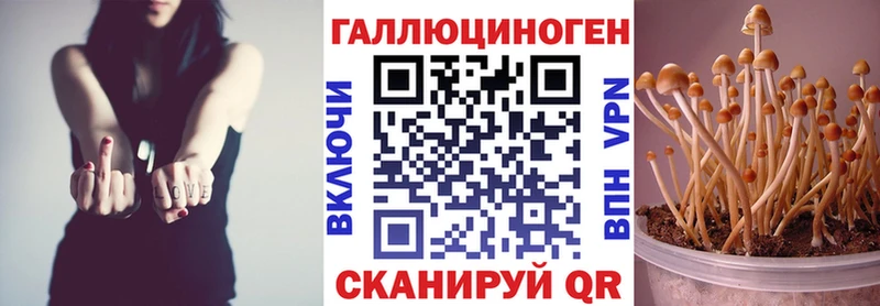 Галлюциногенные грибы GOLDEN TEACHER  Купить закладки  Кашира 